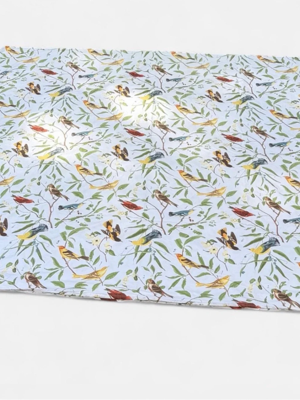 Pottery Barn Spring Sparrow Bird Botanical Cotton Duvet Cover Full Rare